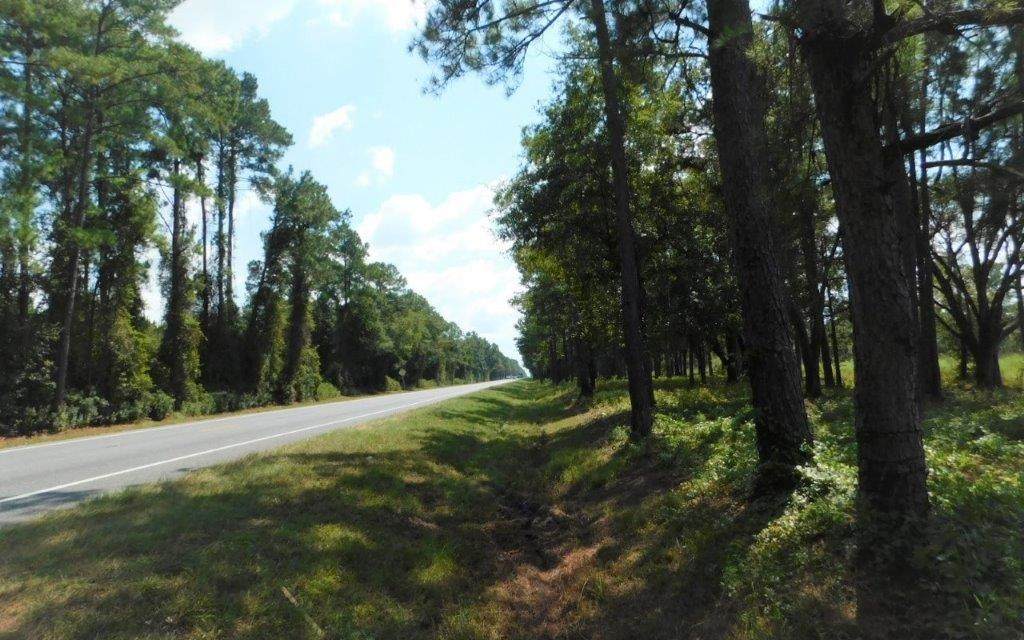 Us-41/Moore Road - Photo 1