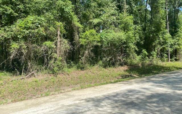 TBD Woodlands Terrace - Photo 1