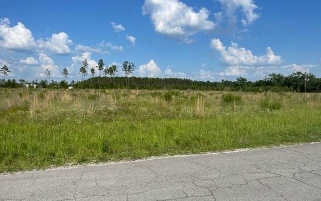 Tbd 217Th Road - Photo 1