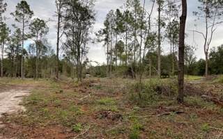Sugarcane Place - Photo 1