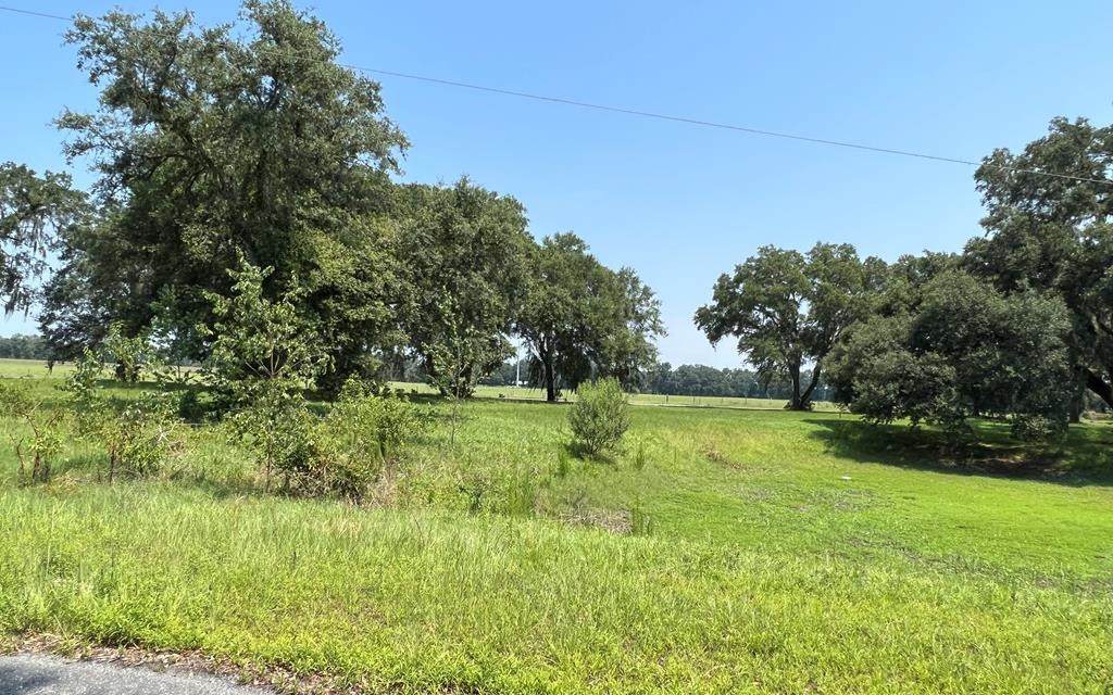 673 70TH LOOP - Photo 1