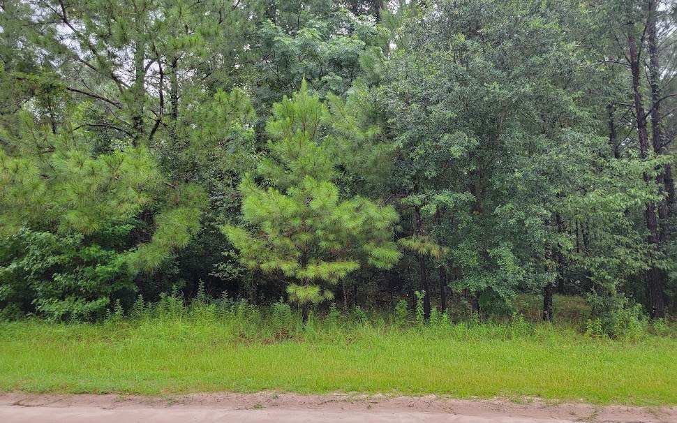 TBD 63RD BLVD. - Photo 1