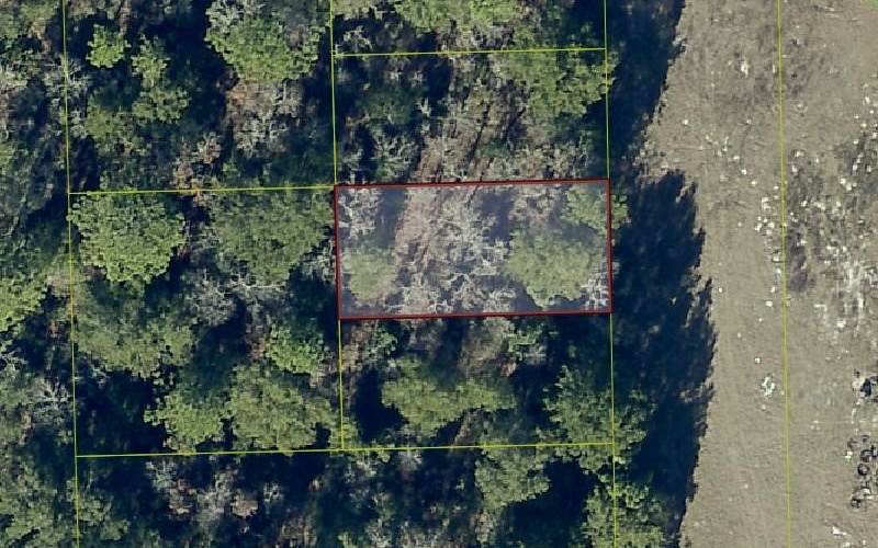 Lot 7 Suwannee Crest - Photo 1
