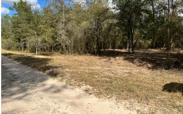 River Country Trail - Photo 1