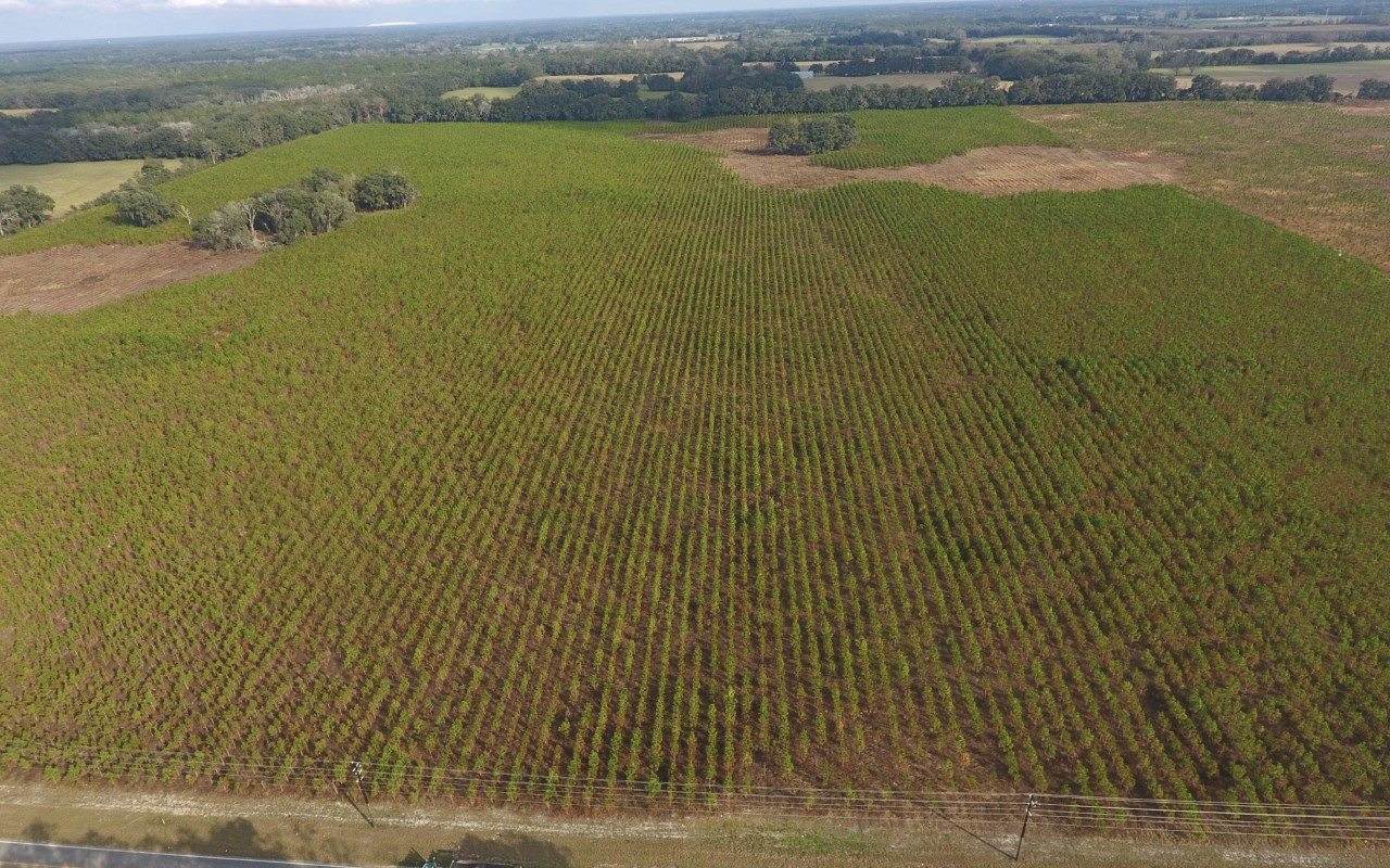 TBD 169TH ROAD - Photo 1