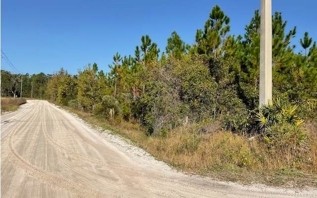  Arnold Rhoden Road - Photo 1