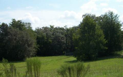 https://bt-photos.global.ssl.fastly.net/lakecity/orig_boomver_1_128363-2.jpg