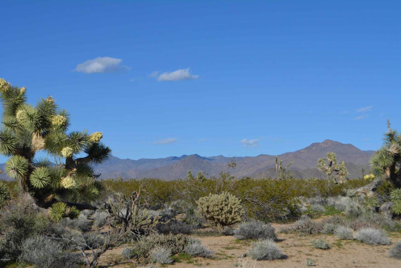 Lot 710 Billy The Kid Rd - Photo 1