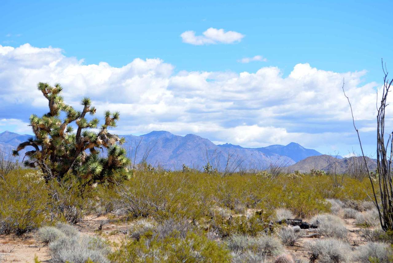 Lot 3381 Santa Fe Ranch Rd - Photo 1