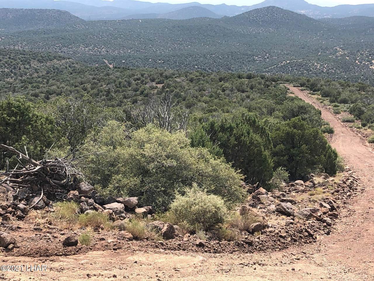 73 Acres Quail Call Ln - Photo 1
