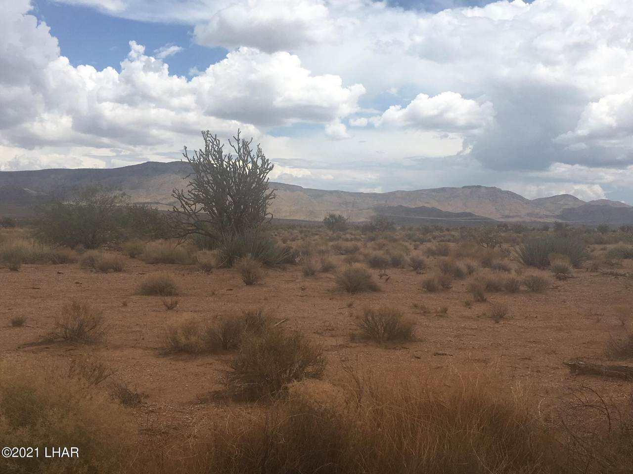 37 Acres Huntington - Photo 1