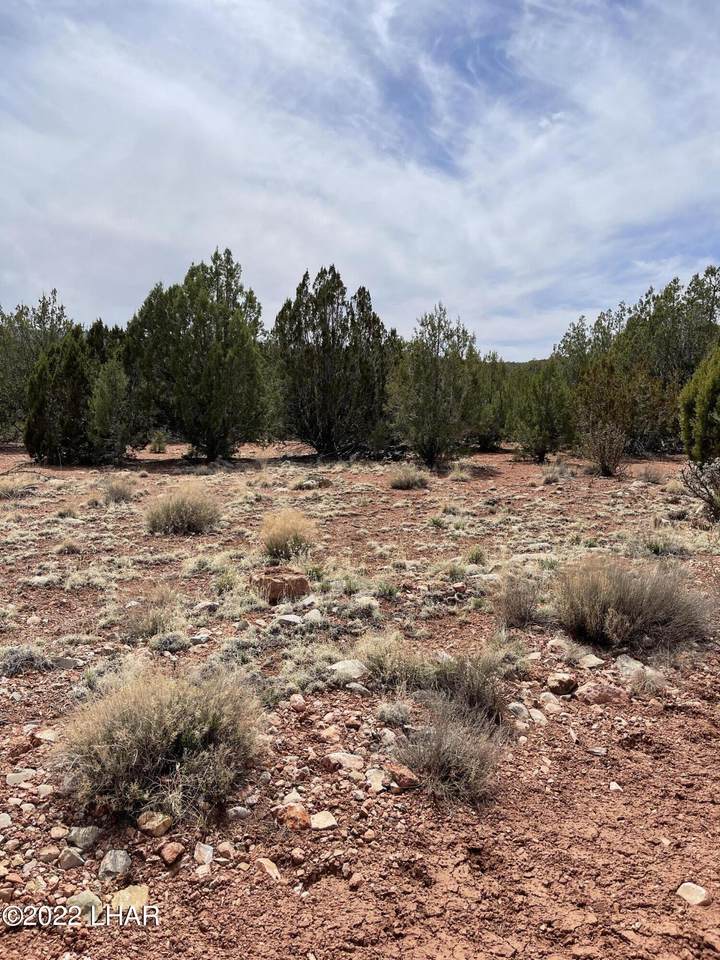 33765 Gallina Rd - Photo 1
