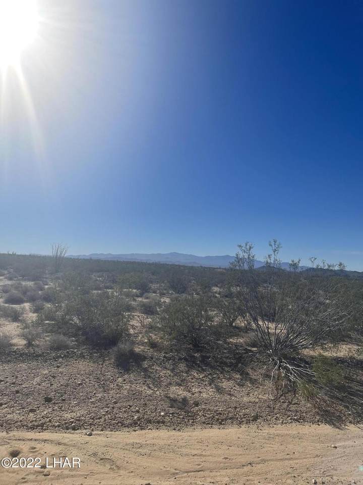 Lot 38 Alamo Rd - Photo 1