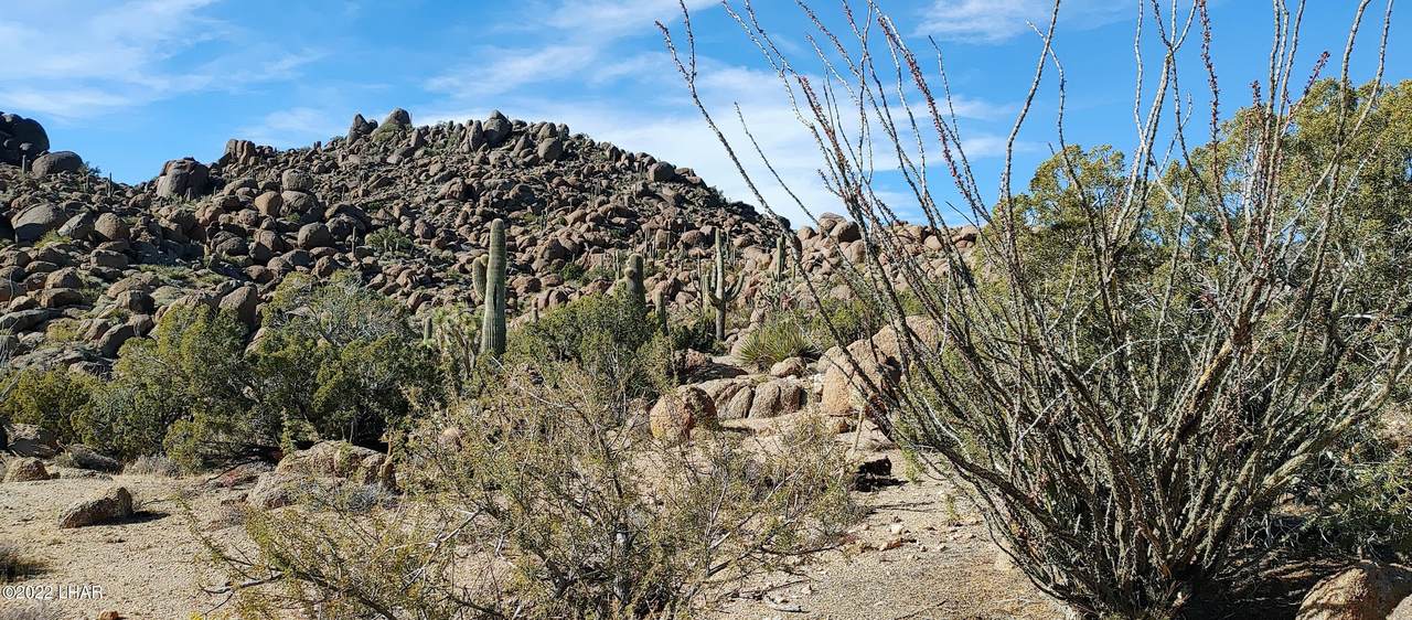 -3611 La Cienega Ranch Rd - Photo 1