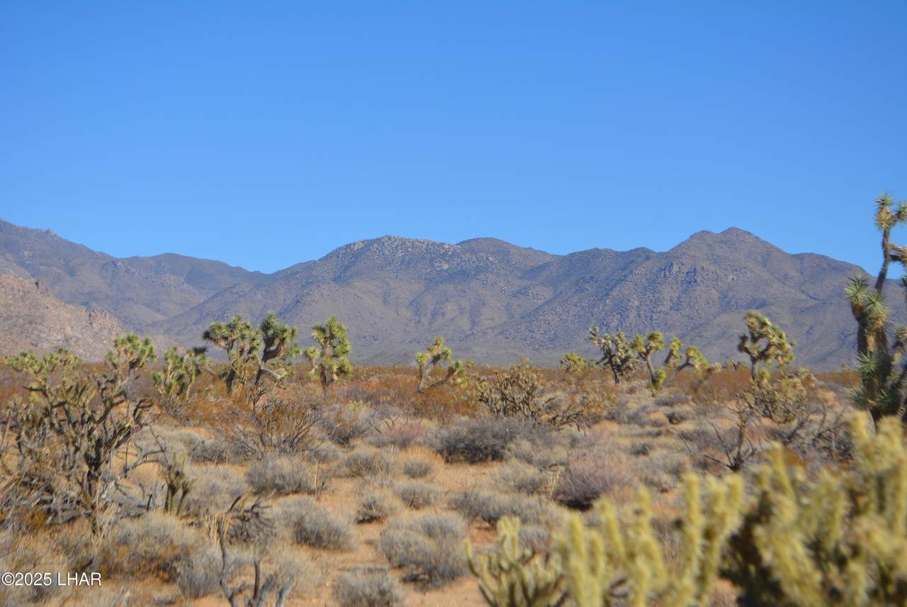 https://bt-photos.global.ssl.fastly.net/lakehavasu/1280_boomver_1_1034056-2.jpg