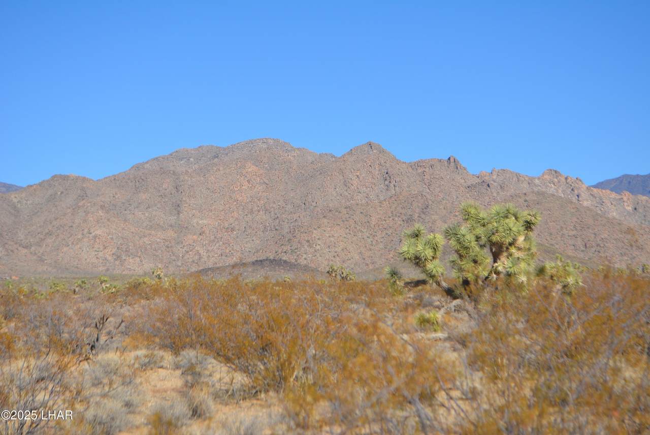 https://bt-photos.global.ssl.fastly.net/lakehavasu/1280_boomver_1_1034056-2.jpg