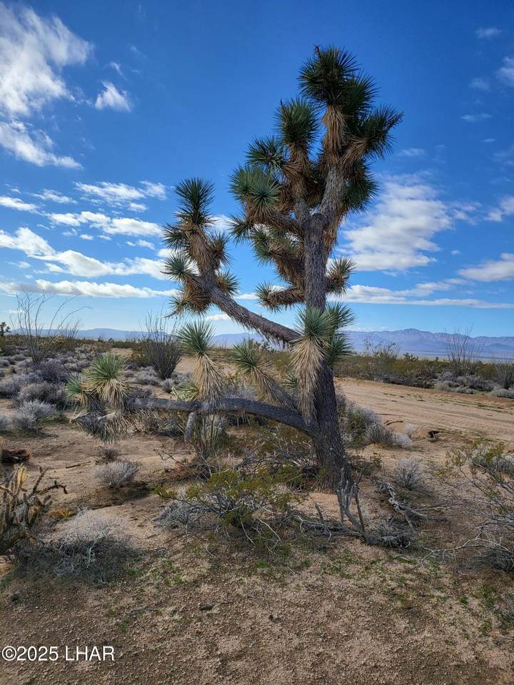 2328 Tom Mix Rd - Photo 1