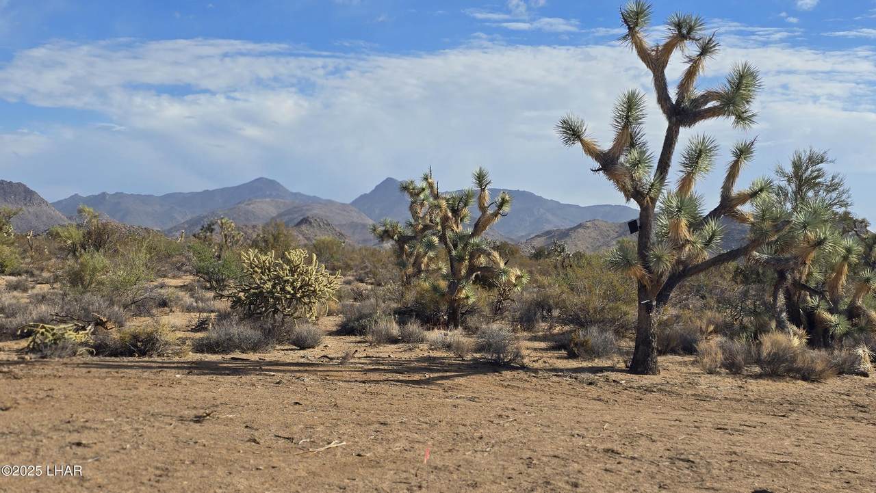 https://bt-photos.global.ssl.fastly.net/lakehavasu/1280_boomver_1_1037229-2.jpg