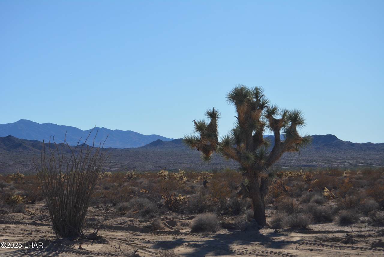 Lot 3271 Arlington Rd - Photo 1