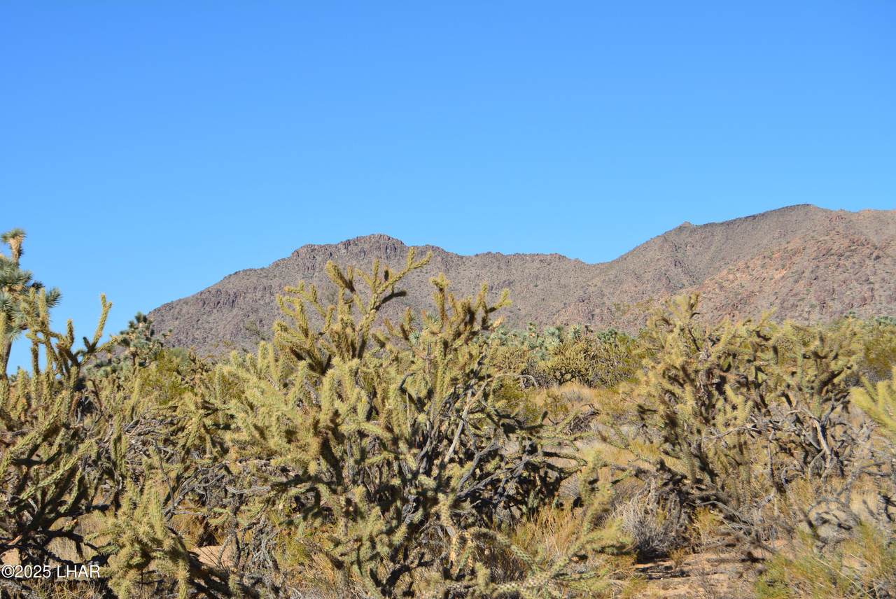 11872 Suzette Rd - Photo 1