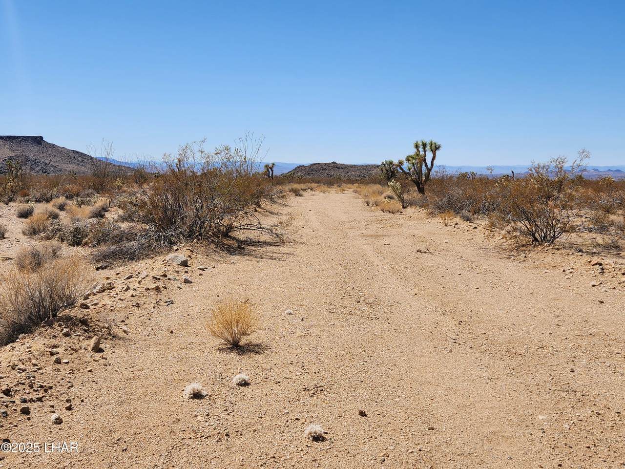 https://bt-photos.global.ssl.fastly.net/lakehavasu/1280_boomver_1_1038431-2.jpg