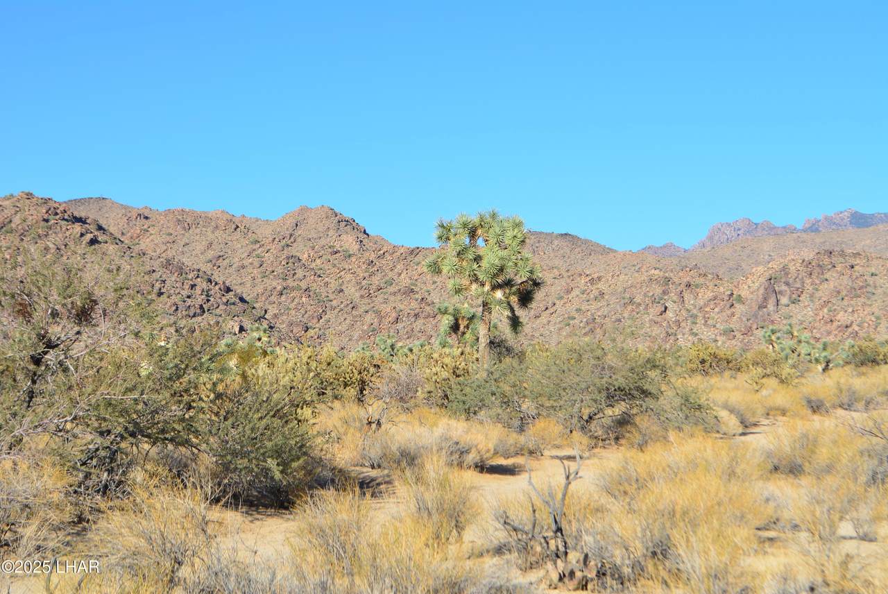 11626 Sherry Rd - Photo 1