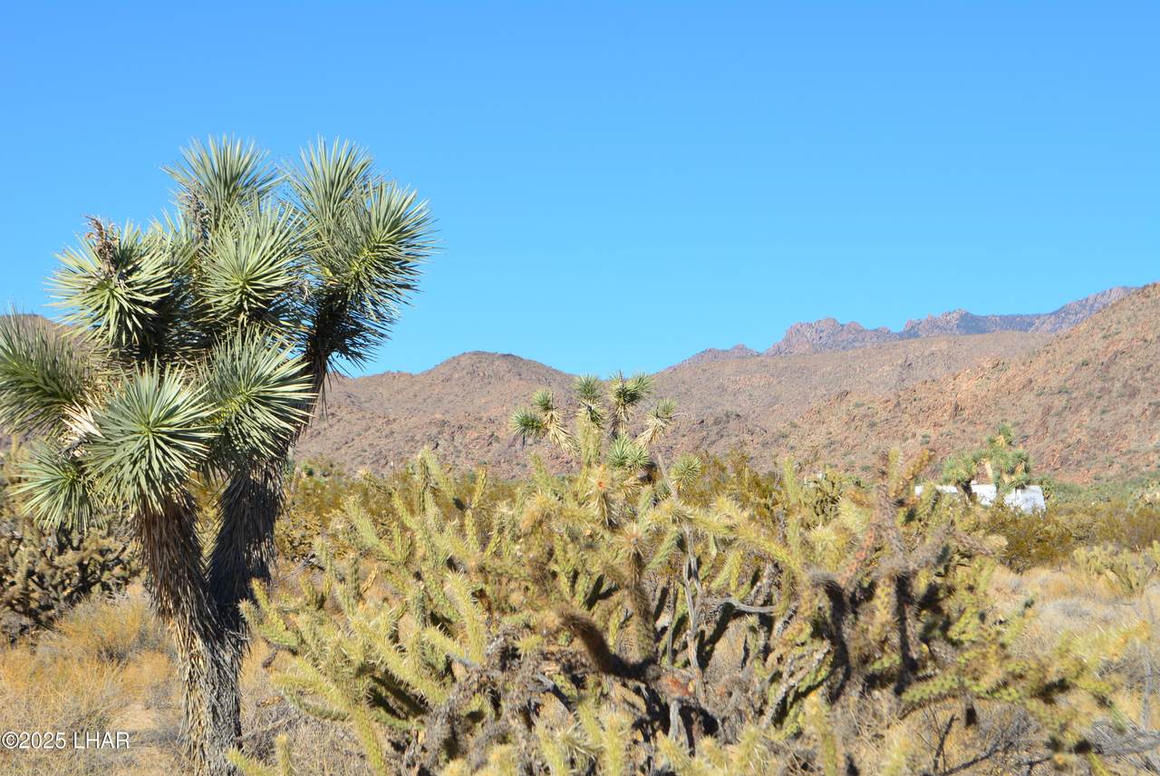 https://bt-photos.global.ssl.fastly.net/lakehavasu/1280_boomver_1_1038906-2.jpg