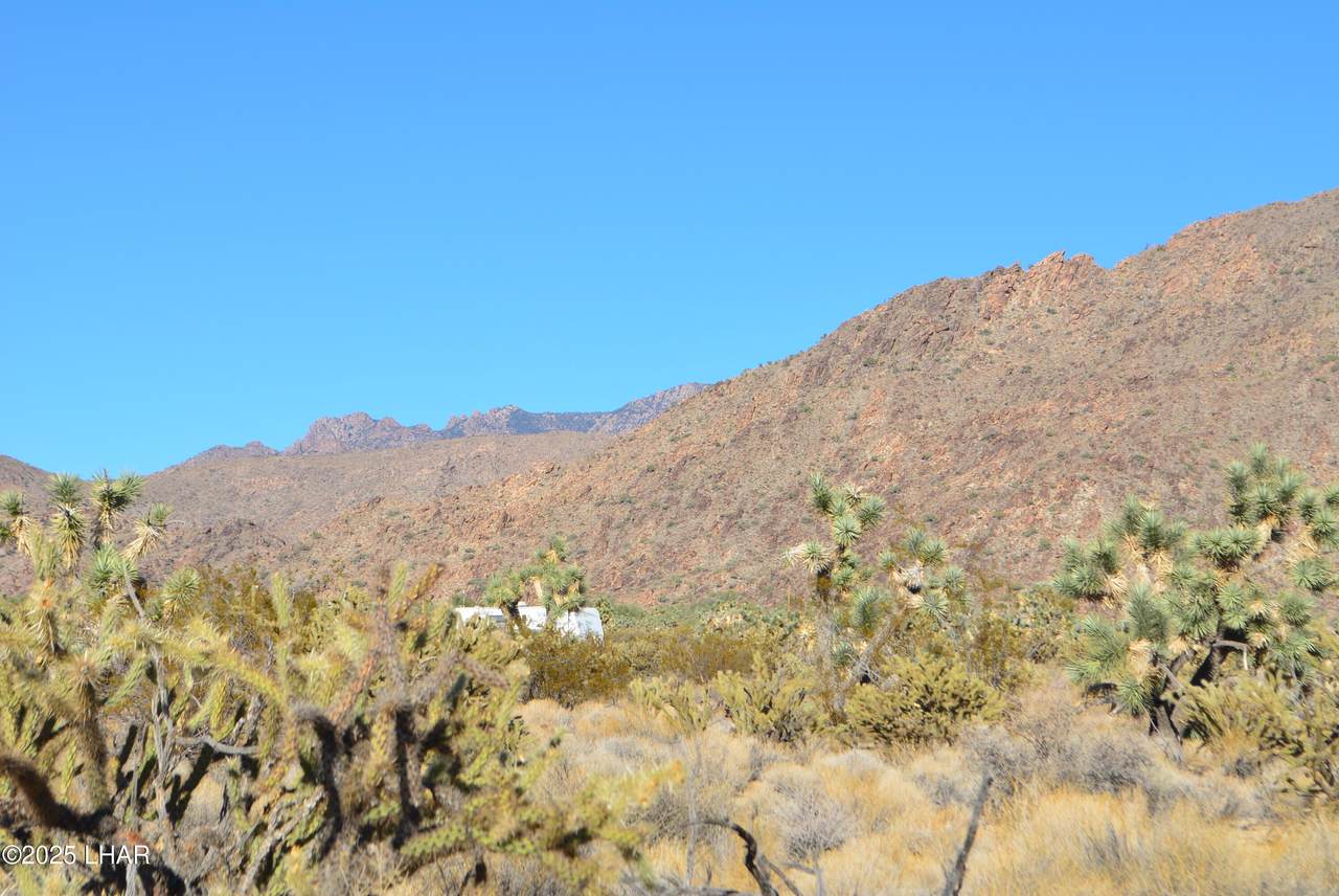 https://bt-photos.global.ssl.fastly.net/lakehavasu/1280_boomver_1_1038906-2.jpg