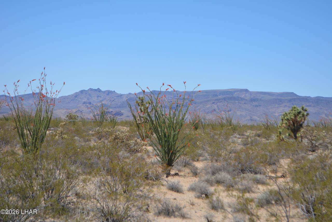 https://bt-photos.global.ssl.fastly.net/lakehavasu/1280_boomver_1_1038910-2.jpg