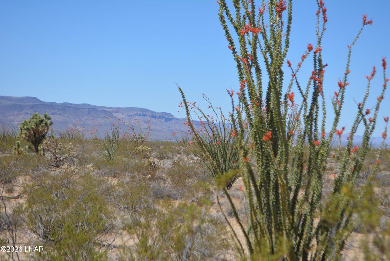 https://bt-photos.global.ssl.fastly.net/lakehavasu/1280_boomver_1_1038910-2.jpg