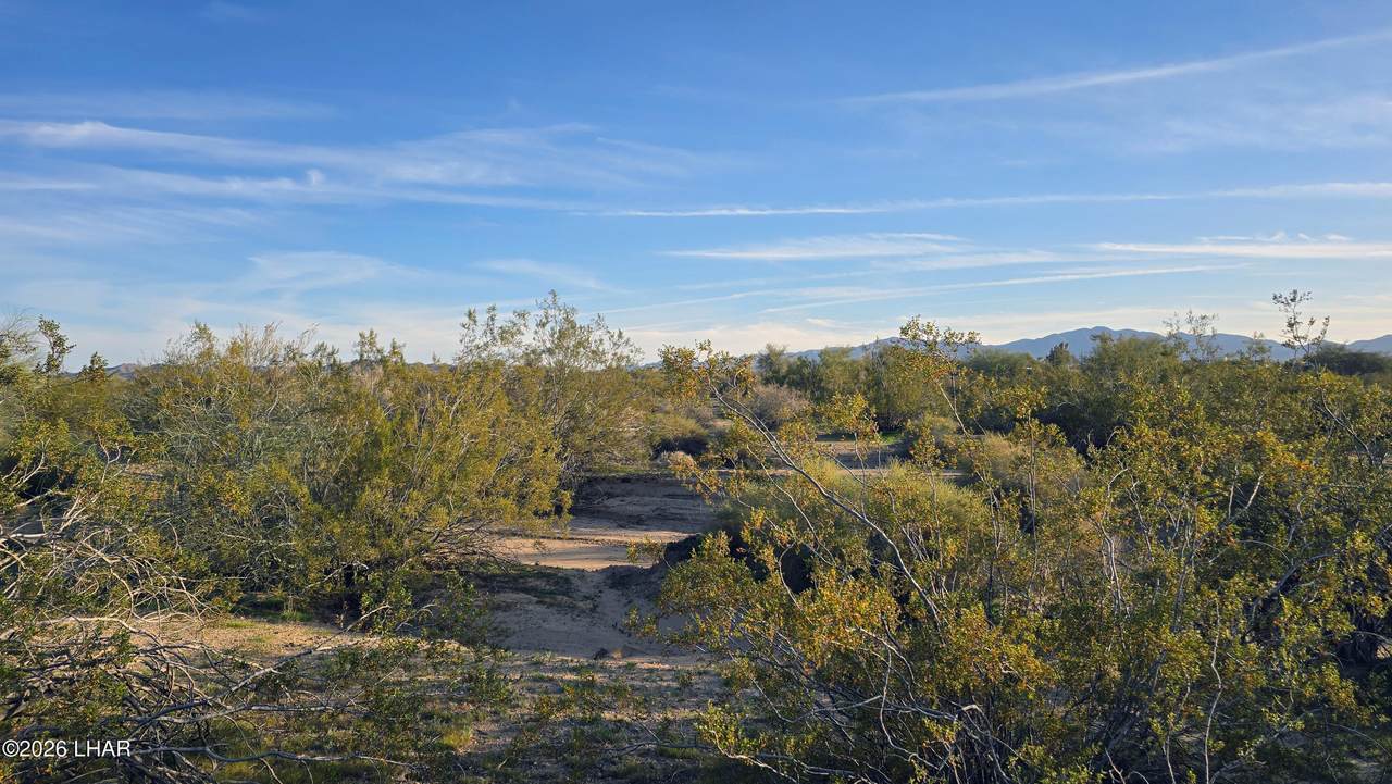 Lot 20 Lawton Rd - Photo 1