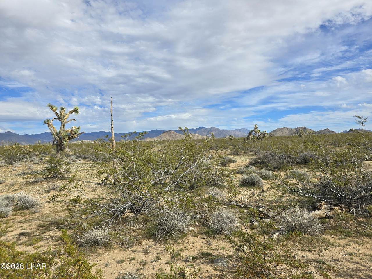 https://bt-photos.global.ssl.fastly.net/lakehavasu/1280_boomver_1_1039396-2.jpg