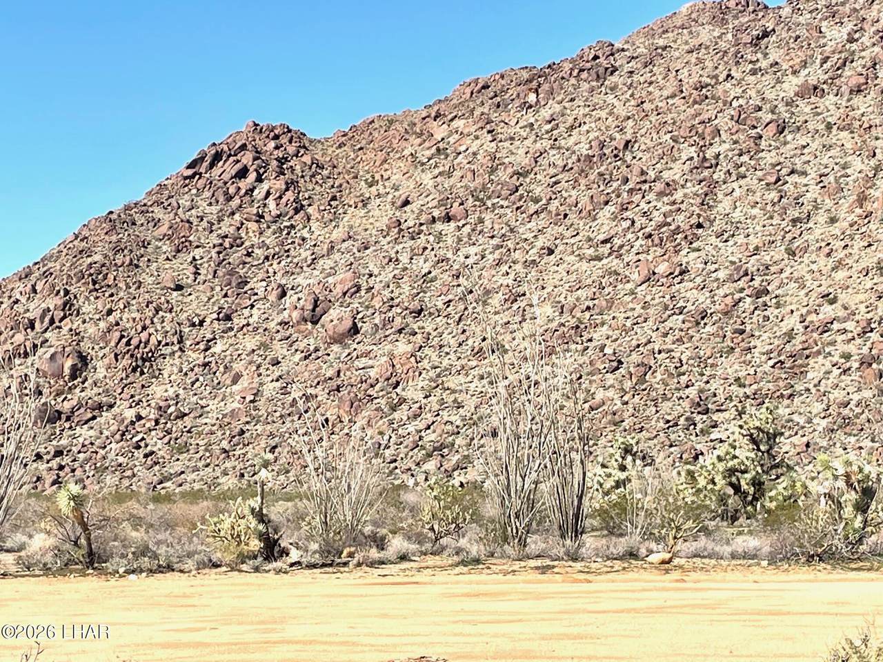 16297 Wyatt Earp Rd - Photo 1