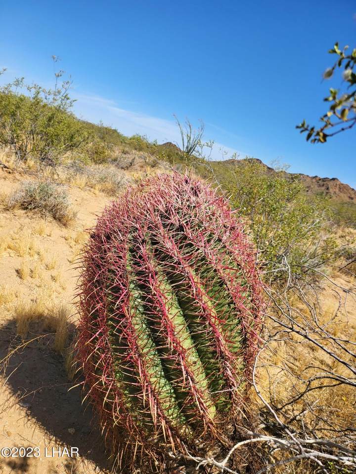 https://bt-photos.global.ssl.fastly.net/lakehavasu/1280_boomver_1_1039702-2.jpg