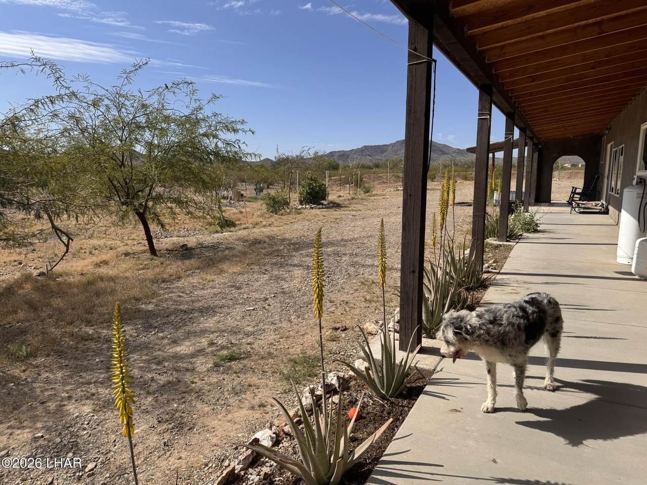 https://bt-photos.global.ssl.fastly.net/lakehavasu/1280_boomver_1_1039819-2.jpg