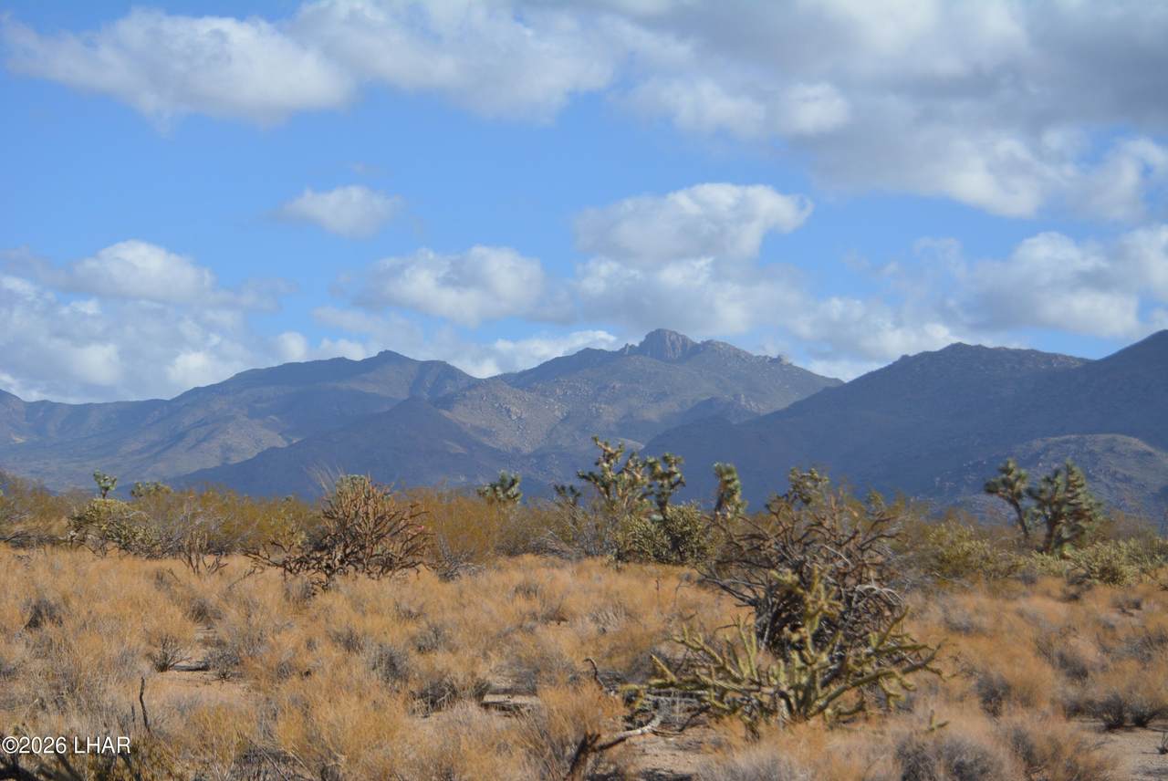 https://bt-photos.global.ssl.fastly.net/lakehavasu/1280_boomver_1_1040263-2.jpg