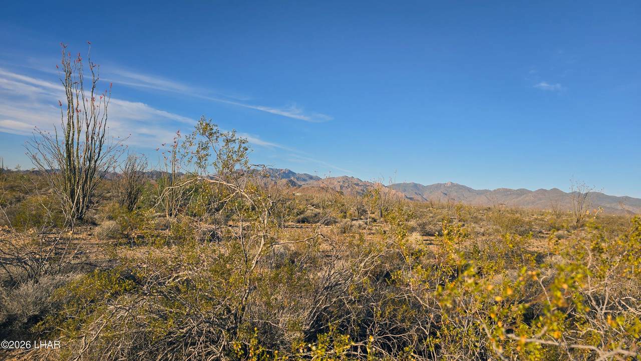 https://bt-photos.global.ssl.fastly.net/lakehavasu/1280_boomver_1_1040297-2.jpg
