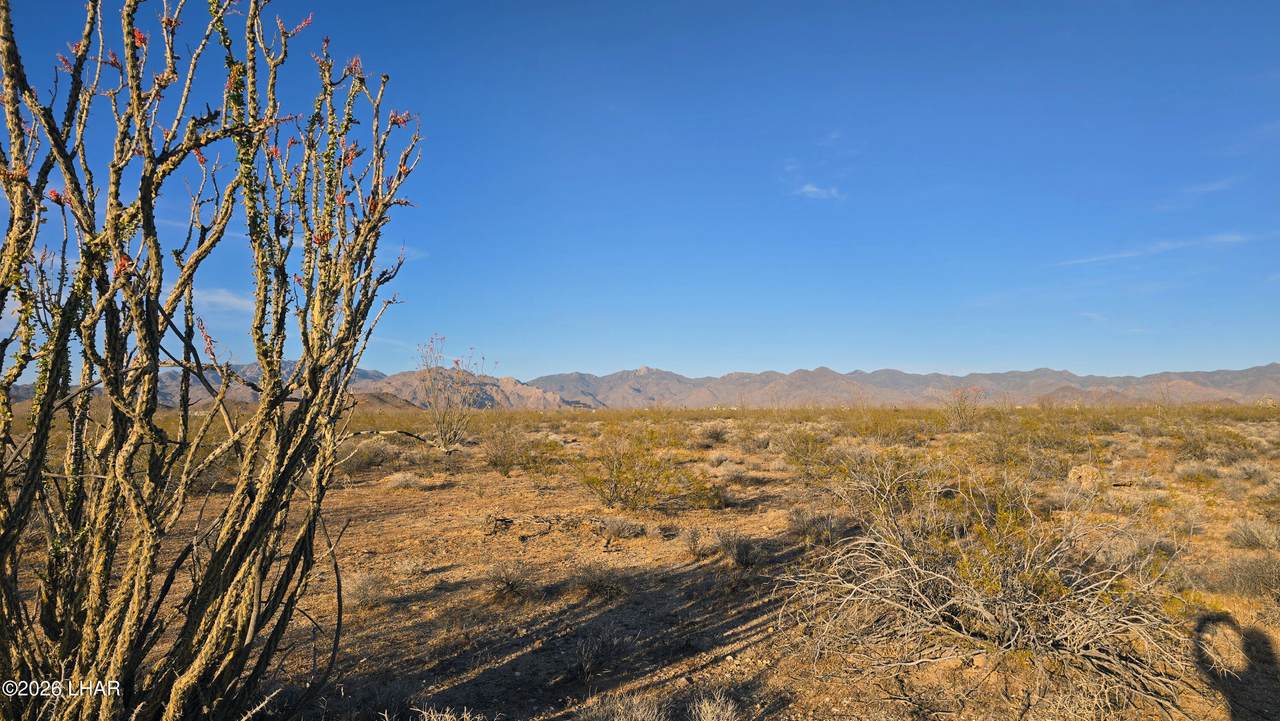 https://bt-photos.global.ssl.fastly.net/lakehavasu/1280_boomver_1_1040297-2.jpg