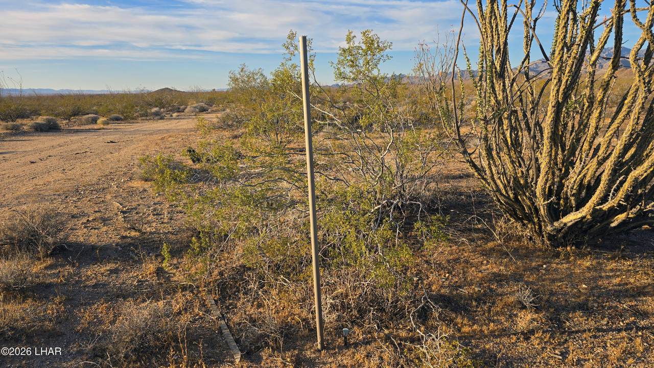 https://bt-photos.global.ssl.fastly.net/lakehavasu/1280_boomver_1_1040297-2.jpg