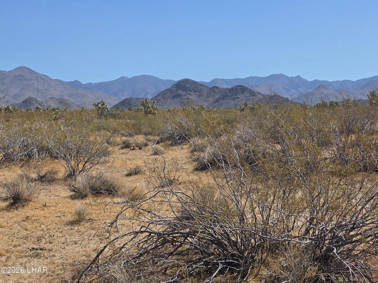 https://bt-photos.global.ssl.fastly.net/lakehavasu/1280_boomver_1_1040312-2.jpg