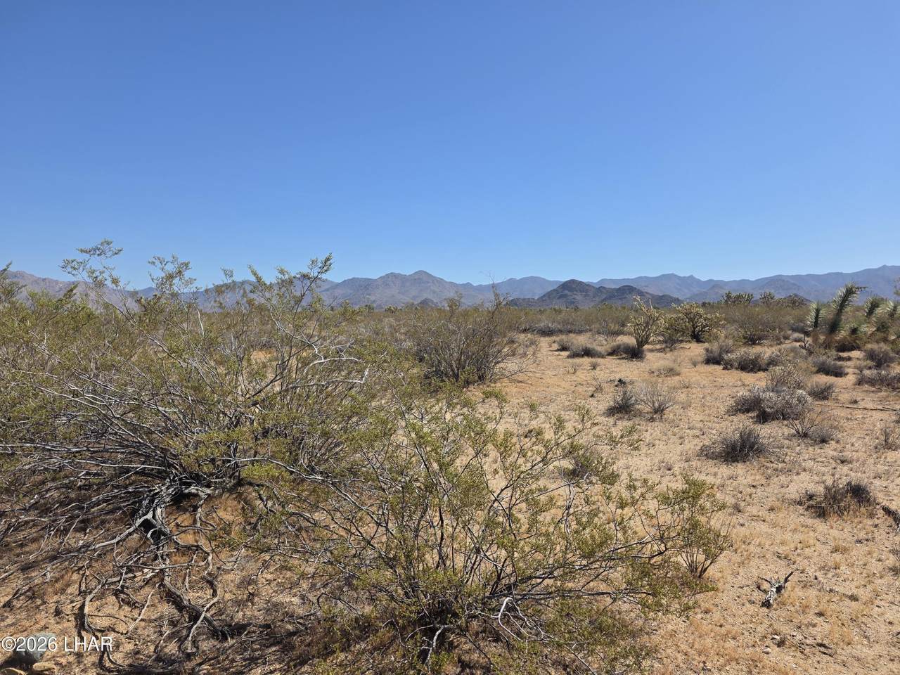 https://bt-photos.global.ssl.fastly.net/lakehavasu/1280_boomver_1_1040312-2.jpg