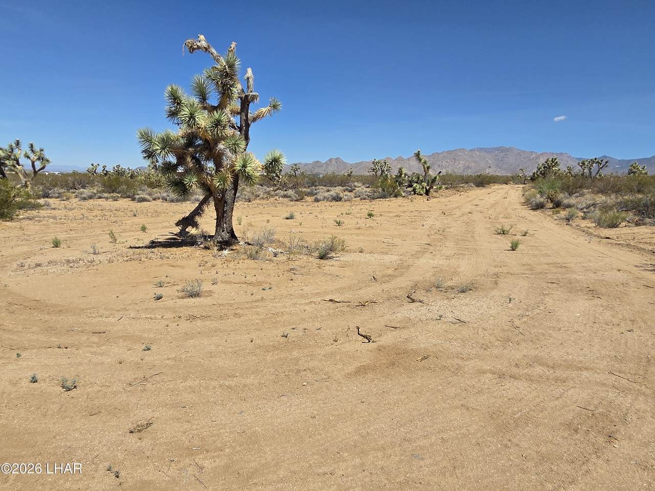 Lot 190 Mary Pl - Photo 1