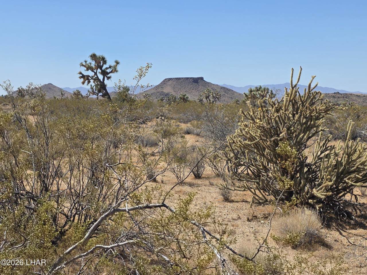 https://bt-photos.global.ssl.fastly.net/lakehavasu/1280_boomver_1_1040314-2.jpg