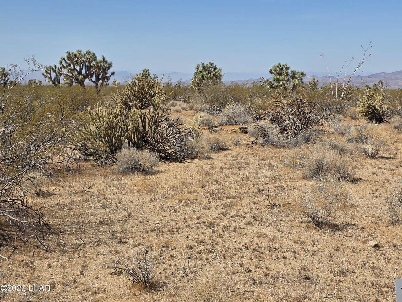 https://bt-photos.global.ssl.fastly.net/lakehavasu/1280_boomver_1_1040314-2.jpg