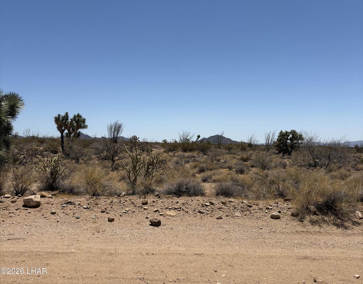 000 Maricopa Dr - Photo 1