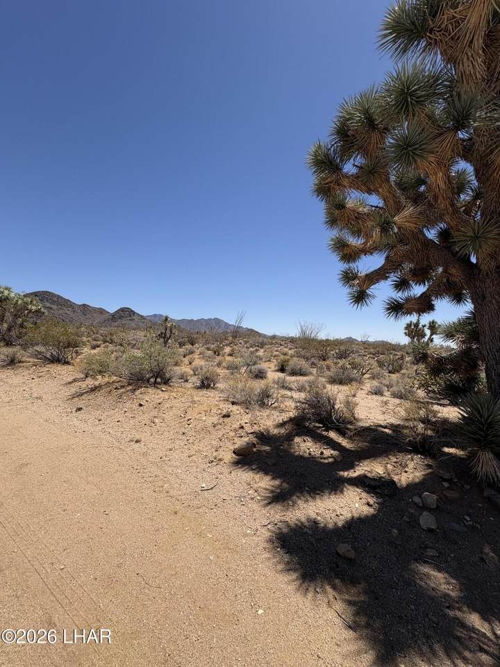 https://bt-photos.global.ssl.fastly.net/lakehavasu/1280_boomver_1_1041021-2.jpg