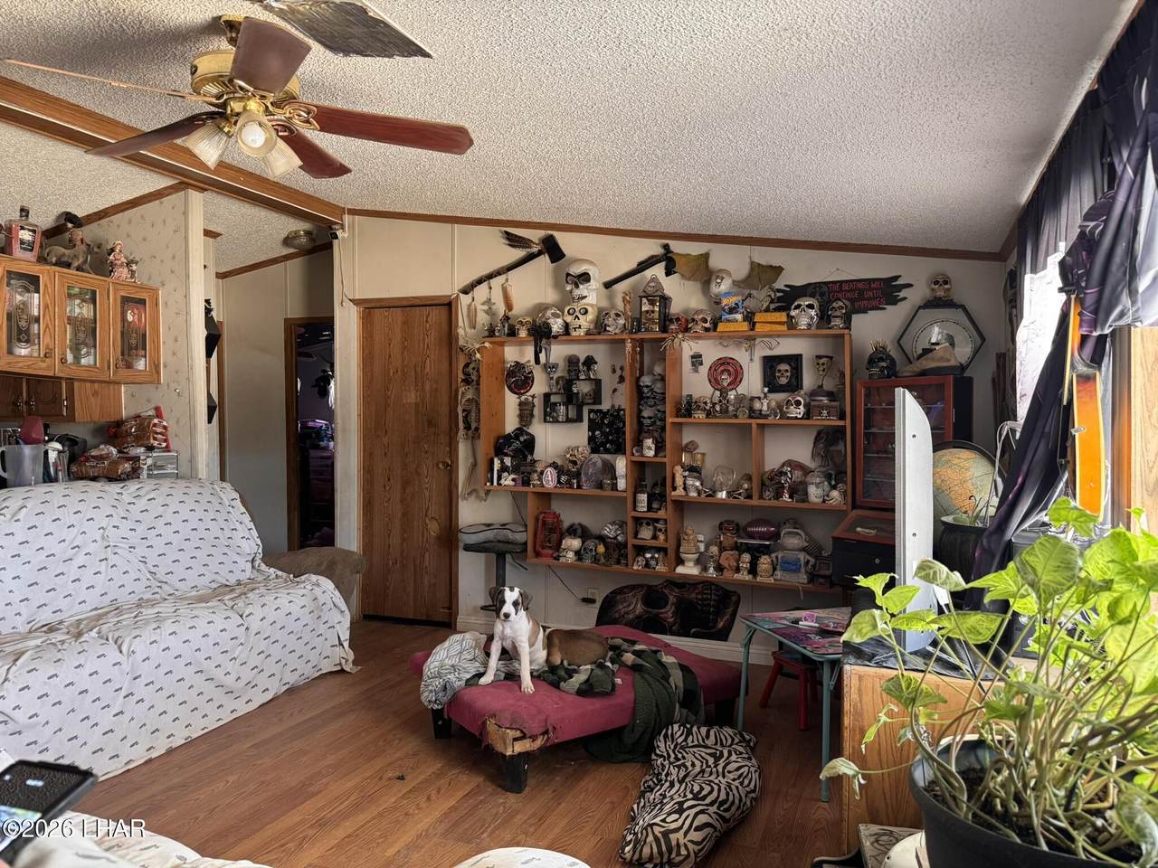 https://bt-photos.global.ssl.fastly.net/lakehavasu/1280_boomver_1_1041046-2.jpg