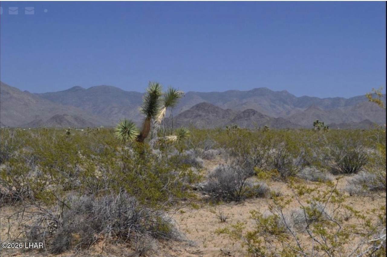 https://bt-photos.global.ssl.fastly.net/lakehavasu/orig_boomver_1_1041214-2.jpg