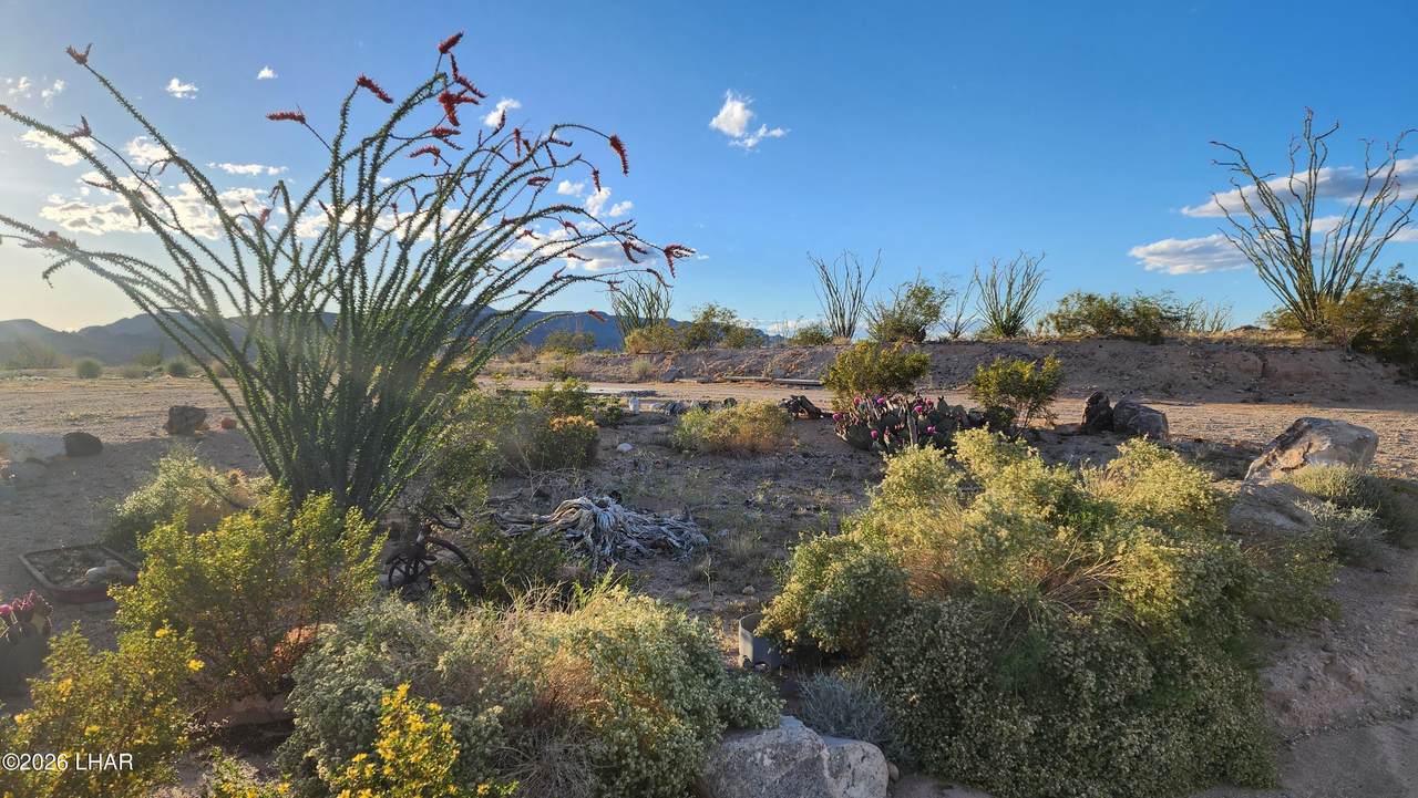 https://bt-photos.global.ssl.fastly.net/lakehavasu/1280_boomver_1_1041238-2.jpg