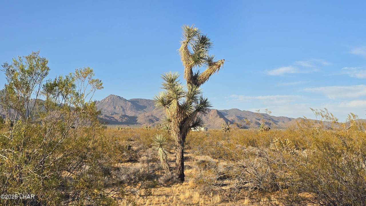 https://bt-photos.global.ssl.fastly.net/lakehavasu/1280_boomver_1_1041270-2.jpg
